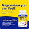 Enzymedica Magnesium Motion Mg ATA Mg Glycinate Malate 60 Tablets