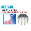 L APIS: Interdental Cleaner, Painless, Wireless, Periodontal Pocket, Nursing Care,