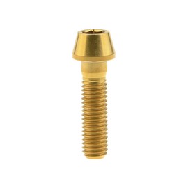 Ruifu M8x15 20 25 30 35 40 45 50mm P1.25 Titanium Alloy Conical Head Hex Head Socket Head Screw 5pcs (M8x30mm, Gold)