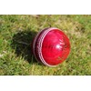 Cricket Balls 6 pack - Red Leather Match Quality (Youth/Junior/School)
