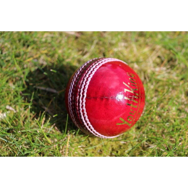 Cricket Balls 6 pack - Red Leather Match Quality (Youth/Junior/School)