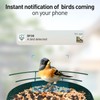 Soliom- Bird Feeder with Camera, 5W Solar Powered, AI Identify