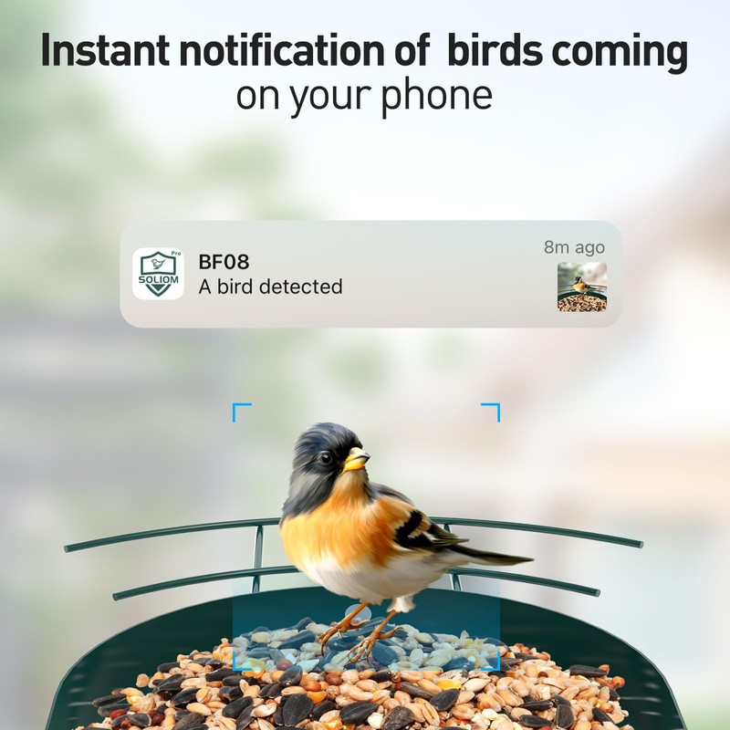 Soliom- Bird Feeder with Camera, 5W Solar Powered, AI Identify