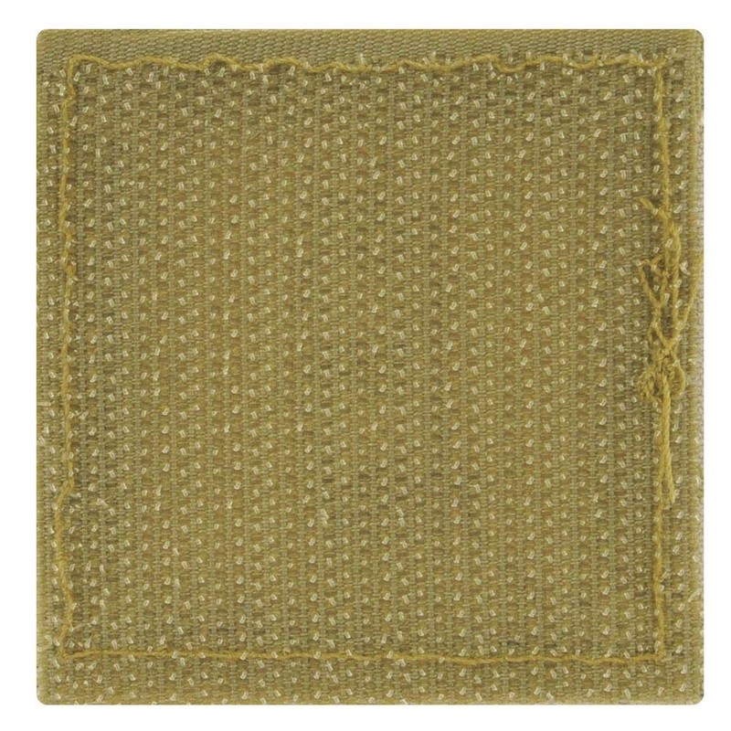 Army First Lieutenant Rank OCP with Hook and Loop