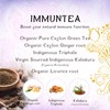 Térapy Ceylon ImmunTea Ayurvedic Tea | All Natural Herbal Ingredients