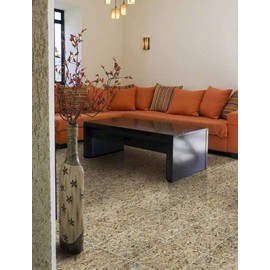 Tenedos New Venetian Gold 12x12 Polished Granite Tile – Natural Stone for Floor, Wall, Kitchen Countertop Use (5-Piece Set, Covers 5 Sq. Ft.)