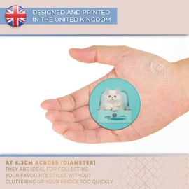 Destination Vinyl ltd Magnet for Refrigerator, Fridge - White Persian Longhair Kitten Cat Cats Cute for Office, Cabinet and Whiteboard, Magnetic Stickers, 24433
