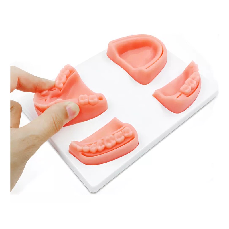 Kingden Pad Sutura Bucal Silicón Boca Odontología Con Base N5001