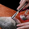 HXHWKEN Fish Scaler 304 Stainless Steel Professional Fish Scale Remover