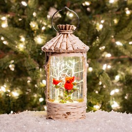 Birch Bird House Lit Swirl With Cardinal White 11 x 6 Acrylic Holiday Globe