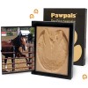 PawPals Paw Print Keepsake Classic Mold Kit - BRAND NEW