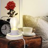 Light Socket with Cord Light Bulb Base E26/ E27 Lamp