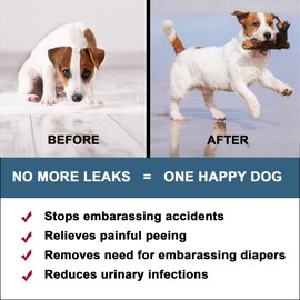 BestLife4Pets Dog UTI Kidney Support - Natural Urinary Tract Infection Treatment – Renal and Bladder Control Supplement – Easy to Use Pills (2 Pack)