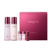 CheongKwanJang [Jeongmol] Donginbi Self-Grown Essence 2-Types Gift Set (Water 130ml,