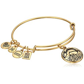 Alex and Ani Women's Team USA Swimming Bangle Gold One Size