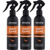 Animology Dirty Dawg Pup Shampoo – No-Rinse Cleaning Shampoo for