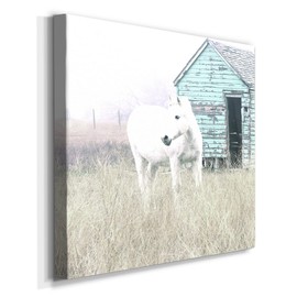 Renditions Gallery Canvas Wall Art Animals Theme for Home Décor, High Key Horse I Wall Art, Ready to Hang, 16'' x 16'', (AZS-WC07-40071-R-1616-SC)