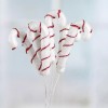 Factory Direct Craft Set of 36 Red and White Sparkling