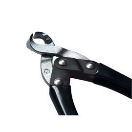 古沢 Edison with Fingernail Clippers