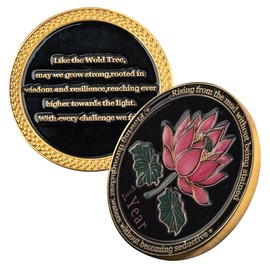 Sobriety Coin Gift Set with Display Stand - AA Medallion & Recovery Tokens for Sobriety Anniversaries, Addiction Milestone Gifts Men & Women (Water Lily, 1 Year)