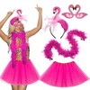 Ycaaeo Flamingo Costume Women, Flamingo Accessories Costume with Pink Tulle