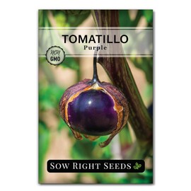 Sow Right Seeds - Purple Tomatillo Seeds for Planting - Non-GMO Heirloom Packet with Instructions to Plant an Outdoor Home Vegetable Garden - Mexican Husk Tomato - Ground Cherries Great for Salsa (1)