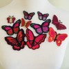10 Piece Butterfly Embroidery Applique Patch Iron on Cotton Applique