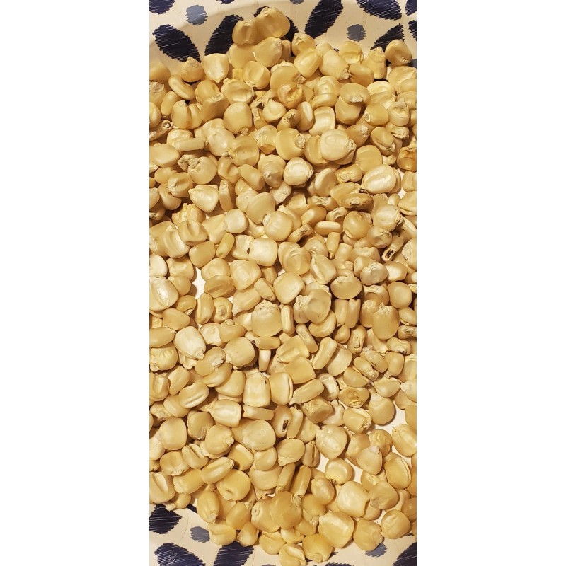 Hickory King White 1/2 Pound ( 600 Seeds) Hickory King