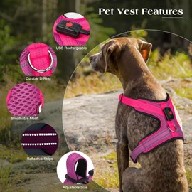 Light Up Dog Harness, Rechargeable Led Dog Harness, Adjustable Lighted Dog Harness, Soft Mesh Dog Lights for Night Walking, Led Safety Vest for Medium Large Dogs