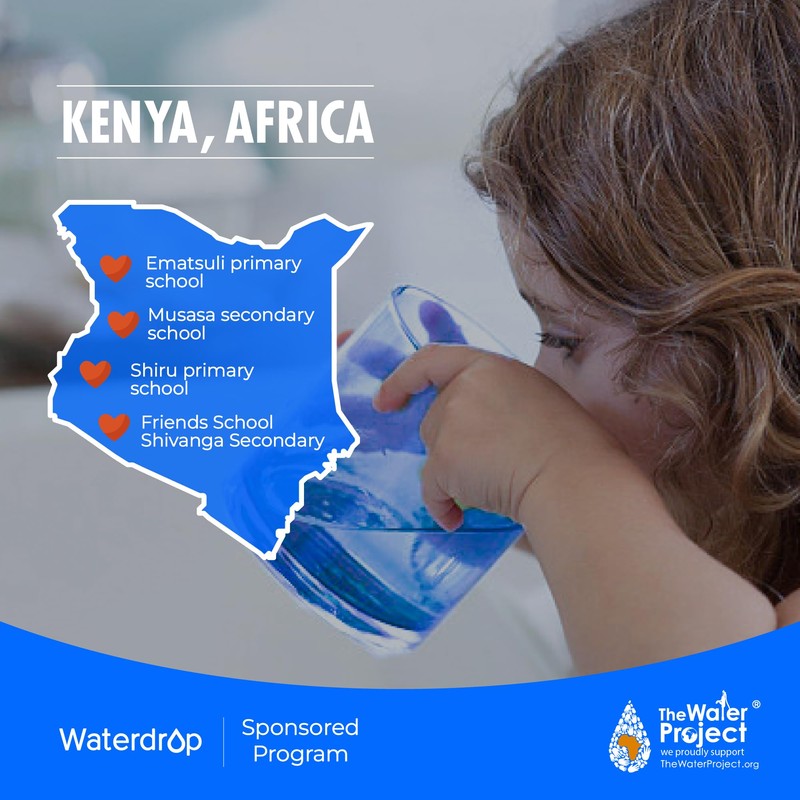 Waterdrop WD-D4RF Filter, Replacement for WD-D4-W Reverse Osmosis System, 1-year