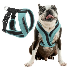 Gooby Comfort X One Harness - Seattle Blue, X-Large - Escape Free and Choke Free Shock Absorbing Harness for Small Dog and Medium Dog