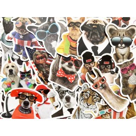 Car Stickers 50 Animal Sticker Pack Throwback Dog and Cat Memes Laptop Water Bottle Phone