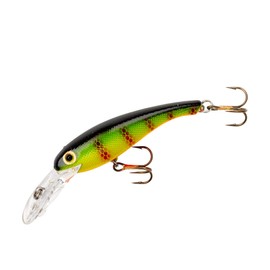 Cotton Cordell Wally Diver Walleye Crankbait Fishing Lure, Accessories for Freshwater Fishing, 2 1/2", 1/4 oz, Perch