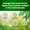 VivoNu Pure Moringa Capsules, Moringa Leaf Extracts, 120 Day Supply,