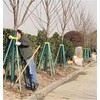 Adjustable Plastic Support Tree Straps, Garden Plants Windproof Anti-toppling Support