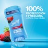 Secret Gel Berry 45g