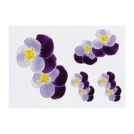 4 x 'Pansies' Temporary Tattoos - Water Resistant, Skin-Safe, Non-Toxic Transfers, Mixed Sizes (TO00014393)