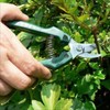 ARS G Classic Replacement Blade Gardening Shears GC-SE-30