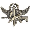 SWAT Operator Pin - Master (Antique Gold, Master)