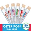 Otter Pops Freezer Bars, 100% Fruit Juice Ice Pops, Original