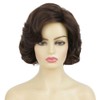 Brown Short Curly Wig Womens 1950s Retro Hair Wigs Heat