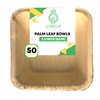 U'reca Organics Eco-Friendly Palm Leaf Bowls | 2.5" (6 cm)