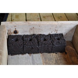 Ladbrooke Genuine 7/8" Dowel Seed Pins, Set of 4 - for use with The Mini 4, Mini 5 and All Long-Handle Soil Blockers, Made in England