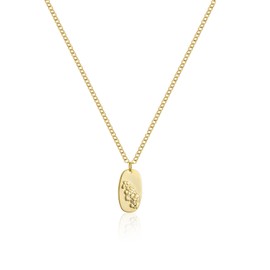 Fremttly 14k Gold Plated Oval Coin Pendant Necklace for Female - Jul-Delphinium - 17.32-19.32in Adjustable