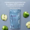 B-FIT Focus ELEV8 - Nootrópicos Naturales para la Concentración