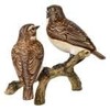 Goebel Bird of the Year 2023 Pair of Brownthroat Figurine