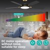 Roomratv Ceiling Fans with Lights,Ultra Silent 52 inch Smart Ceiling