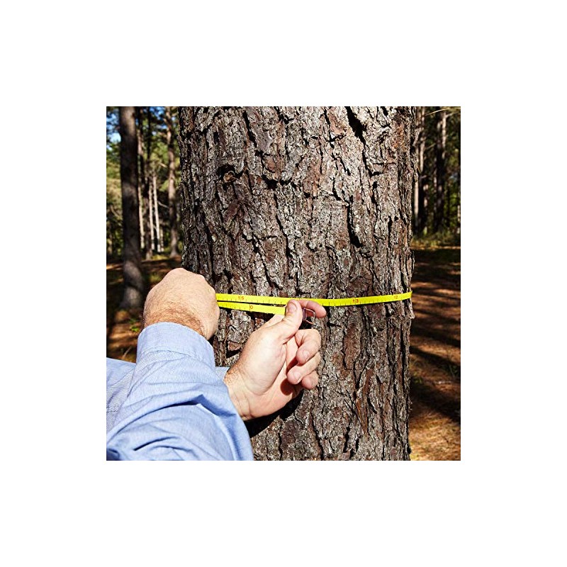 Spencer Logger's Tape Model 975DC