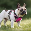 Timos No Pull Dog Harness, No Choke Front Lead Dog