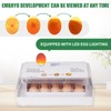 BREUAILY 15 Egg Incubator 3 In 1 Fully Automatic Poultry